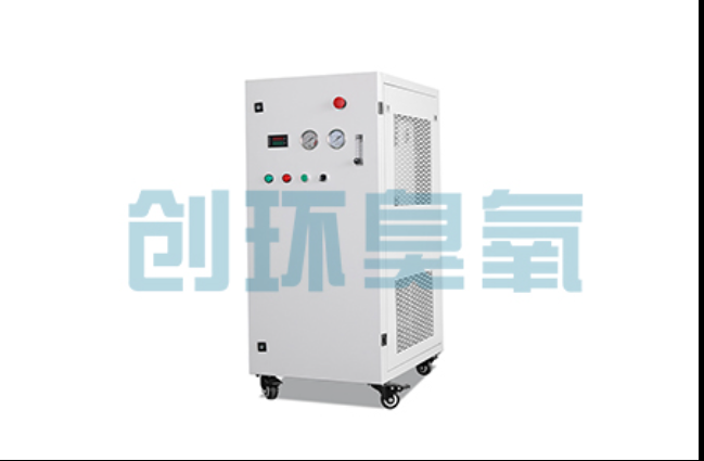 石家庄工厂化养鲈必看：2026年臭氧发生器替代传统消毒的最新方案