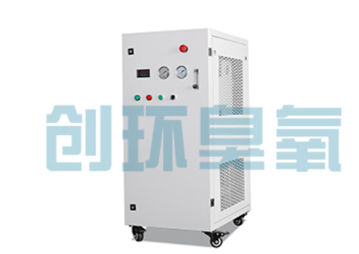 石家庄石斑鱼养殖水质调控完整指南：臭氧发生器配置与操作步骤