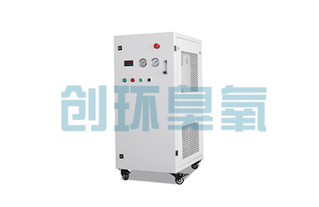 石家庄比传统换水更高效？臭氧发生器在石斑鱼养殖中的水质净化原理解析